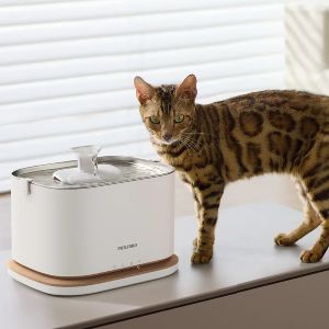 Smart Cordless Fountain