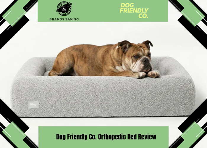 Dog Friendly Co. Orthopedic Bed Review