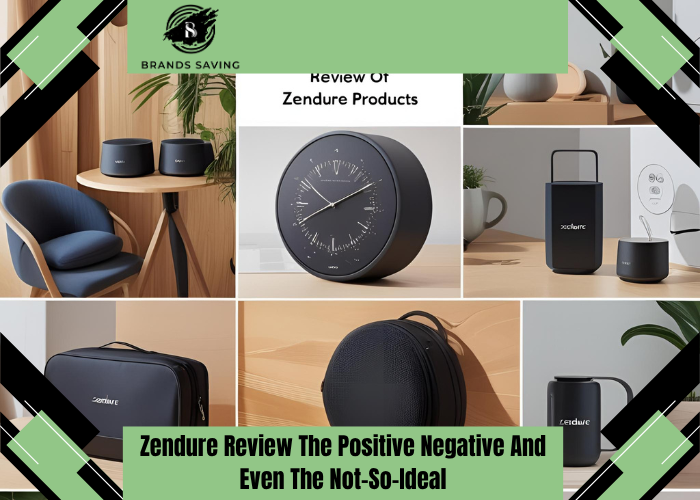 Zendure Review