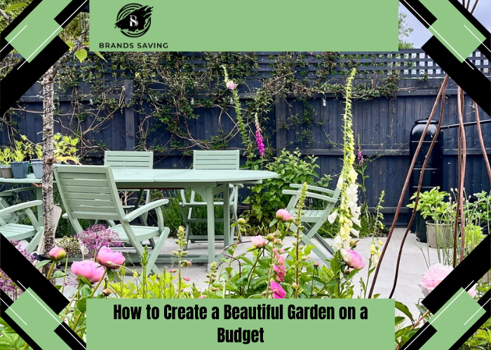 How to Create a Beautiful Garden