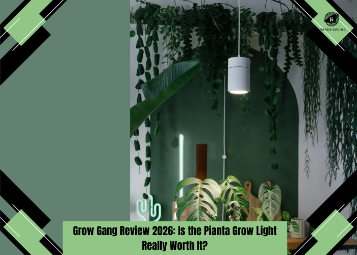 Grow Gang Review